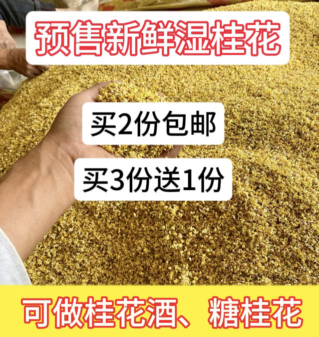 出售2024年散装新鲜湿桂花泡酒制作金桂干桂花茶纯露糖桂花桂花酱