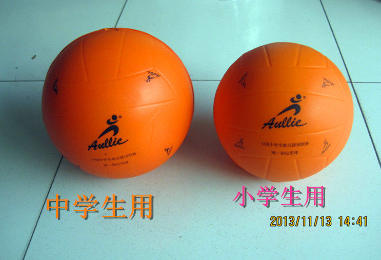 Ballon de volley-ball - Ref 2011204 Image 3