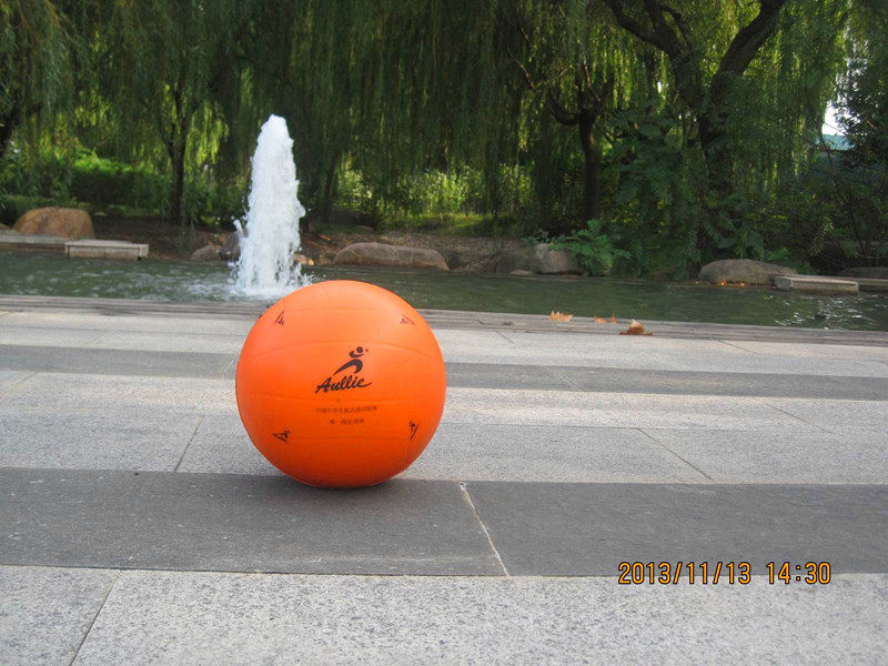 Ballon de volley-ball - Ref 2011204 Image 4