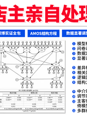 Amos结构方程模型spss数据定制smartpls问卷分析显著调整优化编写