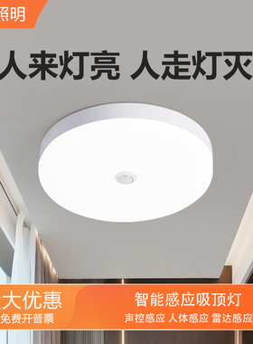 楼道人体感应声控灯物业阳台过道走廊吸顶灯商场红外线雷达感应灯