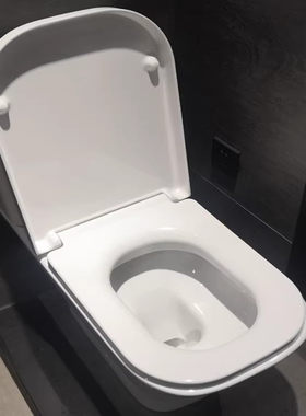 树脂加厚马桶盖ROCA乐家通配