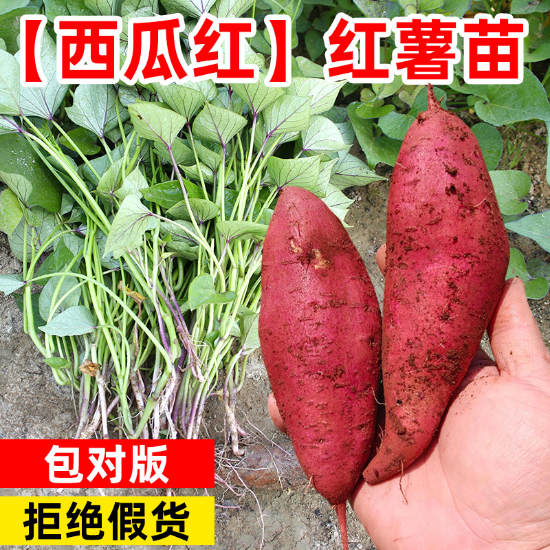 Ԫˮܷʣ 50g/ ϺعɽƷ4.5Ԫ