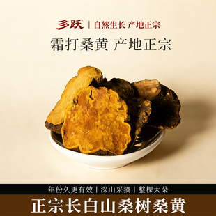 多跃 正宗长白山桑黄桑黄菌桑黄灵芝整枝桑黄茶200g送礼长辈