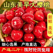 整箱当季 新鲜车厘子美早大樱桃 包邮 孕妇水果