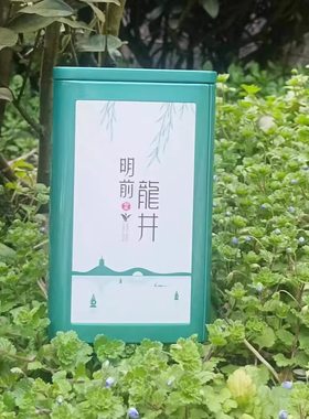 『简装100克』2026明前浙江龙井茶现货销售