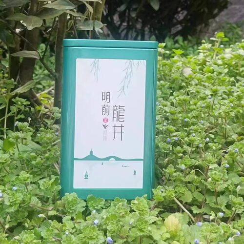『简装100克』2026明前浙江龙井茶现货销售