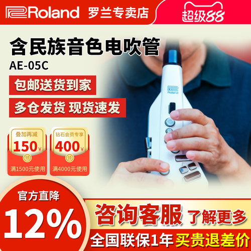罗兰电吹管ae05c初学者