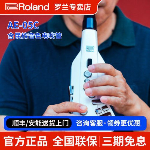 罗兰电吹管ae05c初学者