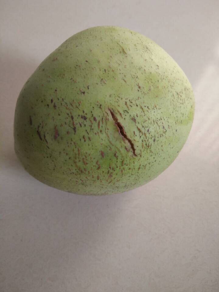 当季新鲜水果  印度青苹果 残次果 只甜不酸 口感好 5斤 包邮