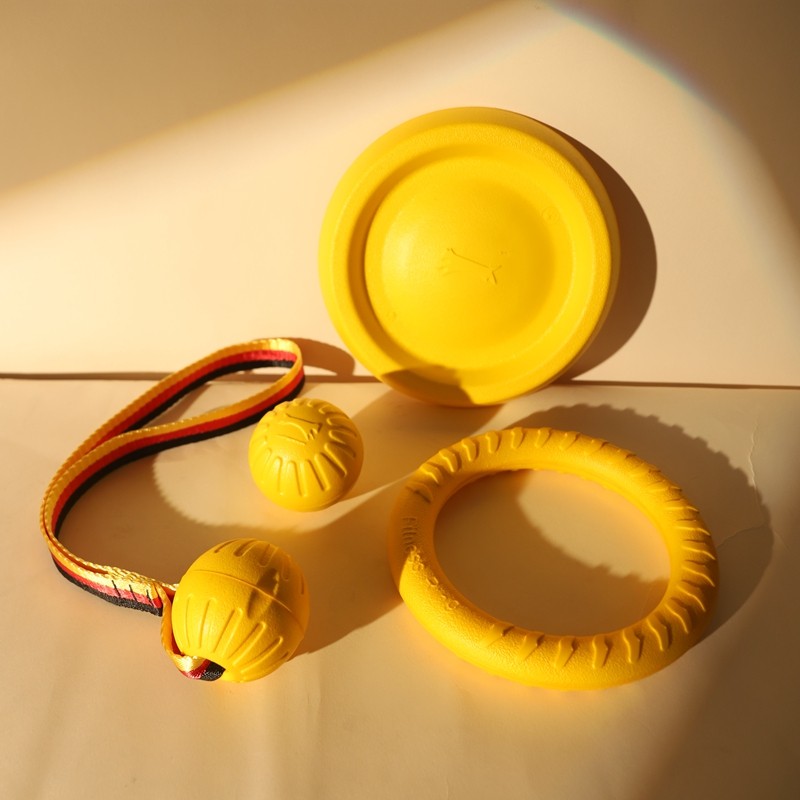 日本狗狗飞盘玩具球耐咬磨牙解闷神器拉环边牧大型犬金毛拉布拉多,宠物/宠物食品及用品,橡胶球/球形玩具,淘宝优惠券,粉丝福利购,淘宝优惠卷