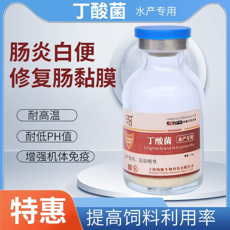 丁酸梭菌水产养殖鱼虾蟹调理肠道对虾白便肠炎空肠空胃益生菌菌种