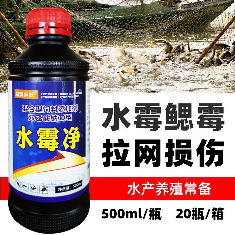 水霉净白毛病鱼药水产养殖专用药水霉病专治鱼塘拉网损伤烂身出血