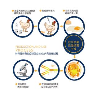 伊威格儿猫粮全价成幼猫无谷调节肠道igy增强免疫呵护泌尿系统健