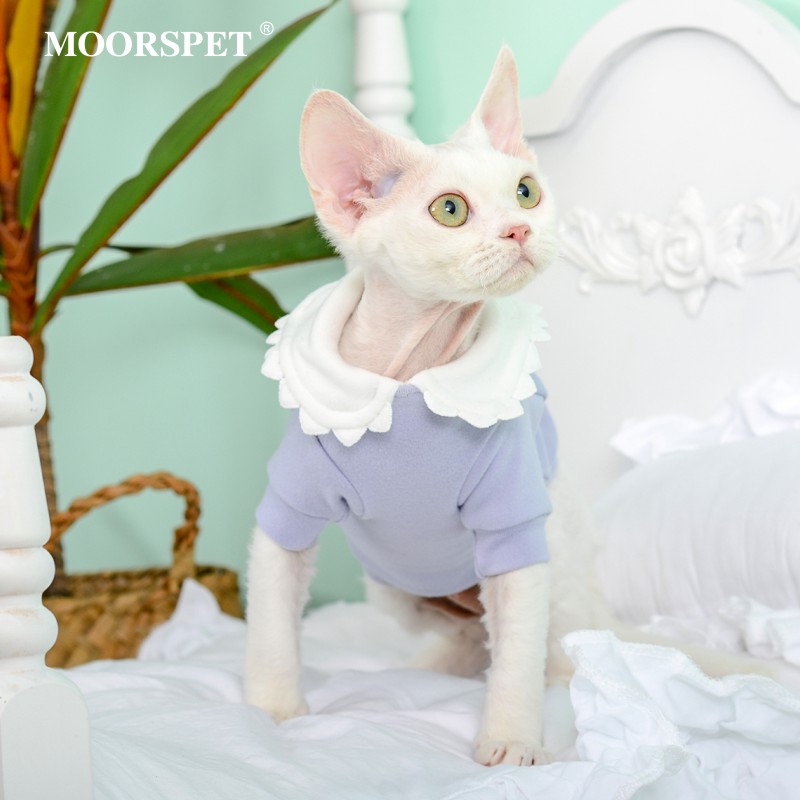 MOMO德文猫咪衣服打底衫德绒保暖娃娃领春秋网红无毛猫英短猫衣服-封面