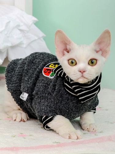 Немецкая одежда для кошек британский колледж вкусает короткая домашняя одежда безволосочной одежды