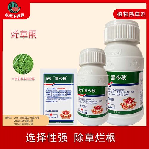 龙灯今秋240g/l菜田禾本科杂草
