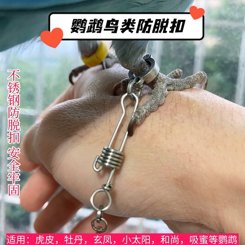 鹦鹉放飞绳脚环脖圈套玄凤牡丹