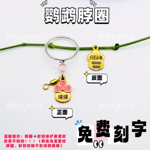 鹦鹉刻字脖圈吊牌链子套装