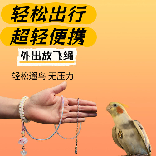 鹦鹉放飞绳不伤脖玄凤虎皮小太阳外出伸缩牵引绳刻字脖圈户外遛鸟