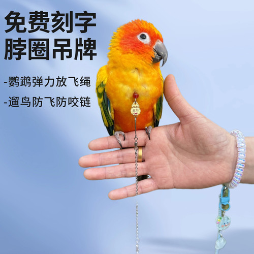 刻字脖圈小太阳玄凤鹦鹉脖套牡丹虎皮和尚金太阳刻字外出放飞绳