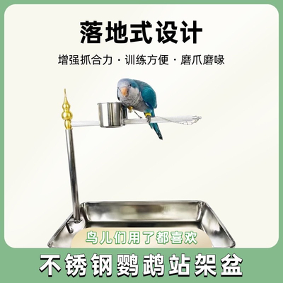 鹦鹉站架盆玄凤牡丹虎皮脖圈套小太等不锈钢材质遛鸟放飞训练链子