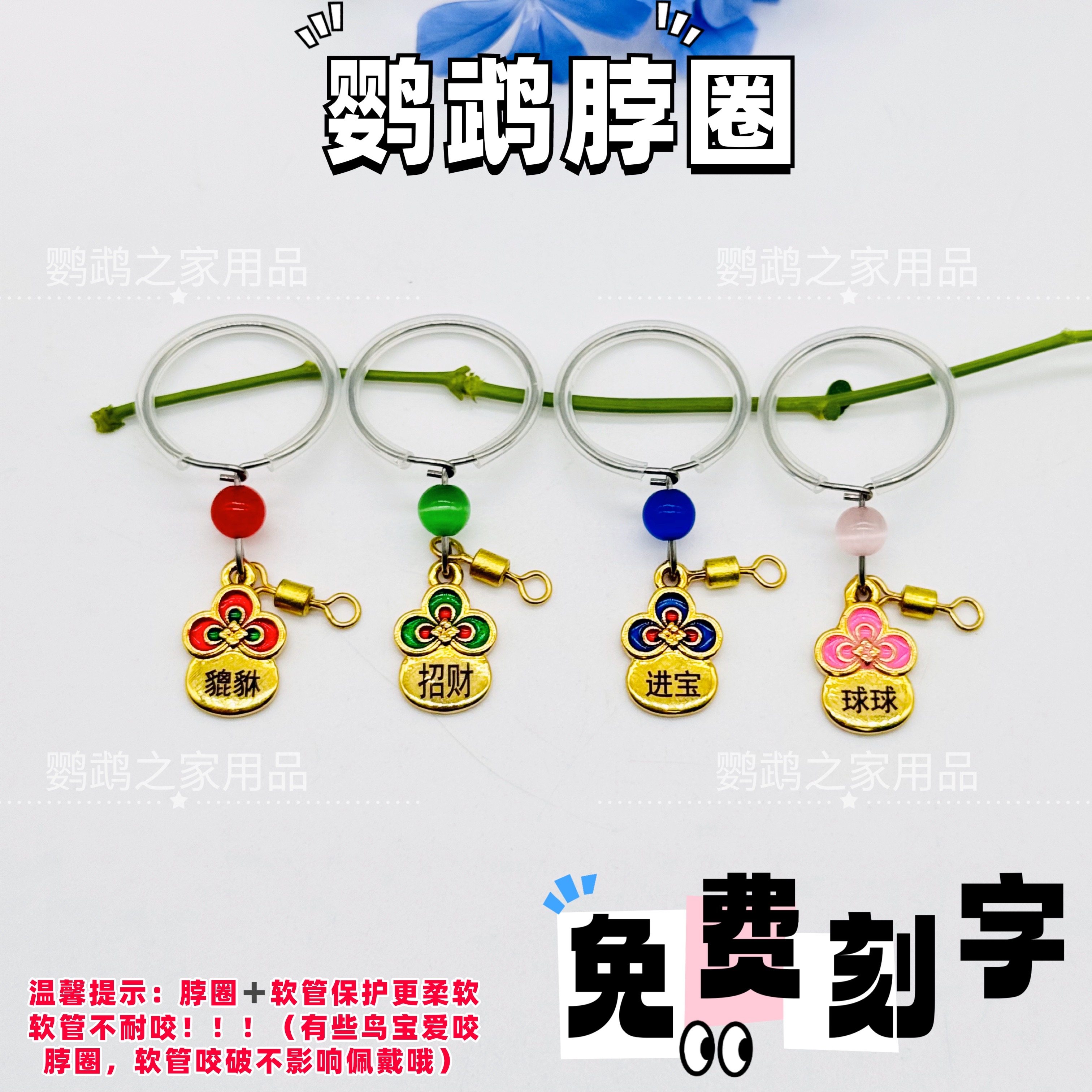 刻字鹦鹉脖套小太阳链子和尚金太阳外出牵引放飞训练牡丹玄凤脖圈