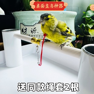 小型鸟黄鸟伯劳鸟站架绣眼贝子黄雀柳莺等送绳套食碗盘鸟训养鹦鹉