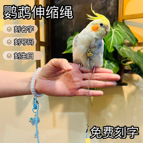 鹦鹉外出伸缩放飞绳刻字脖套