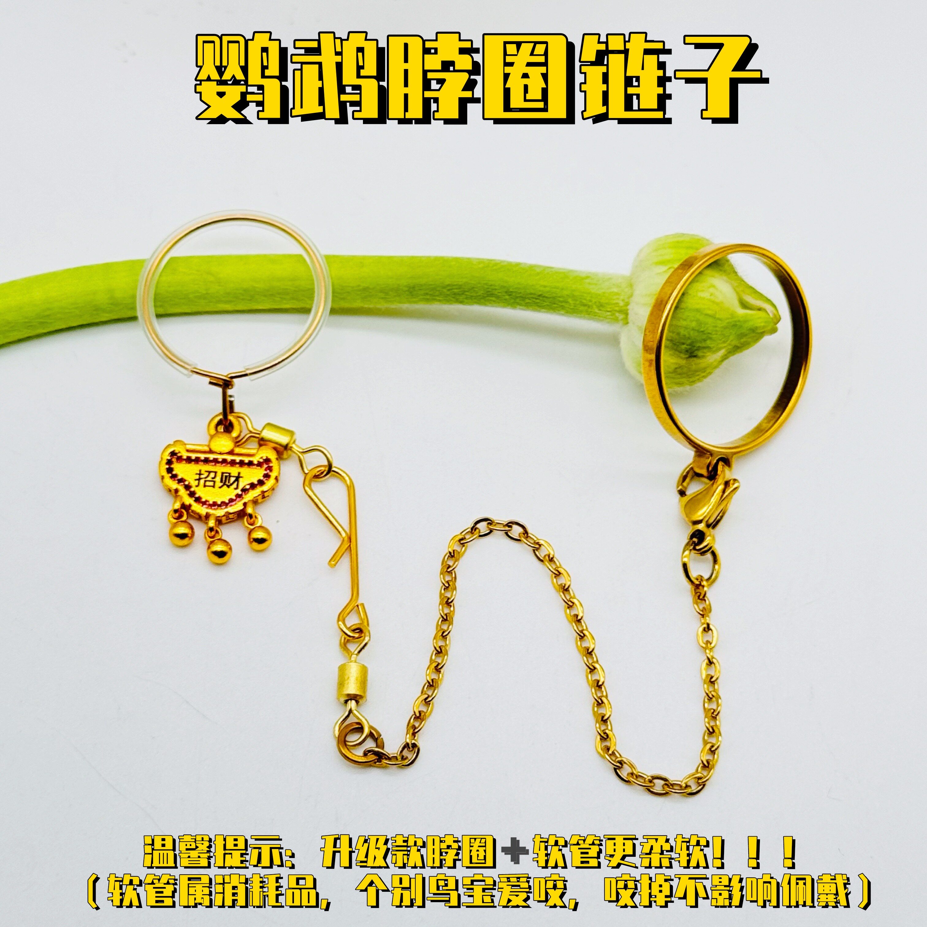 刻字定制不锈钢鹦鹉脖套玄凤牡丹虎皮和尚小太阳防丢金太脚环链子