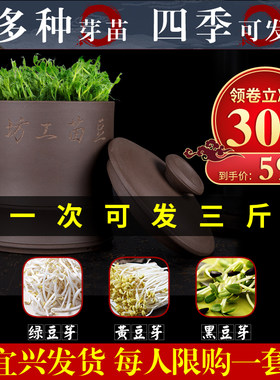 正品紫砂工坊豆芽罐大容量