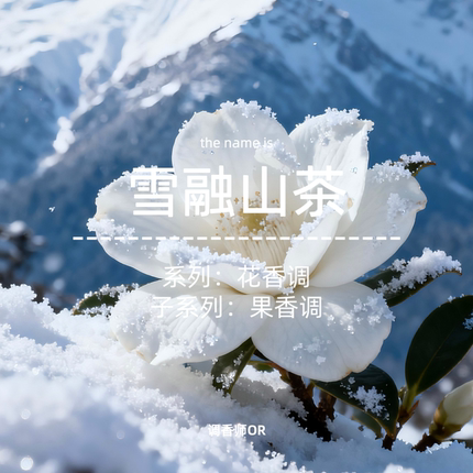 调香师OR 原创小众香水 雪融山茶 wei达雪绒山茶花抽纸同款香水