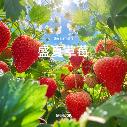 调香师OR【盛夏草莓】原创小众香水 草莓味香水