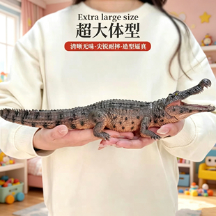 仿真动物大号鳄鱼模型玩具实心扬子鳄鳄帝王鳄儿童玩具摆件礼物
