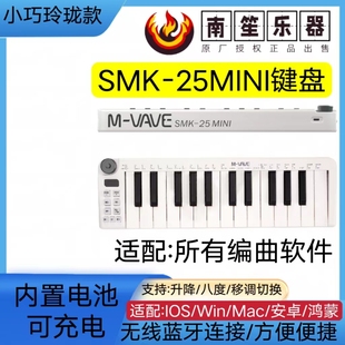 midi键盘25键MIDI键盘初学者音乐打击垫编曲键盘电音迷笛控制器轻