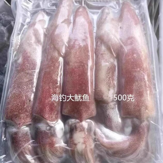 广东特产新鲜海钓鱿鱼大管冰鲜冷冻鱿鱼新鲜脆筒鱿鱼厚肉爽脆500G