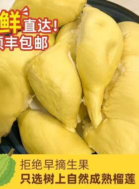 泰国榴莲肉鲜冻零食生果包邮液氮两斤冷冻榴莲肉