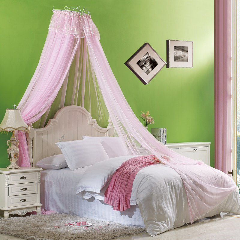 定制金卧小星星刺绣蚊帐送铁艺架单开门绣花双人家用床幔公主拉链