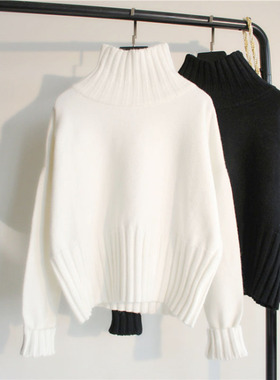 Winter women's sweater ladies turtleneck sweater