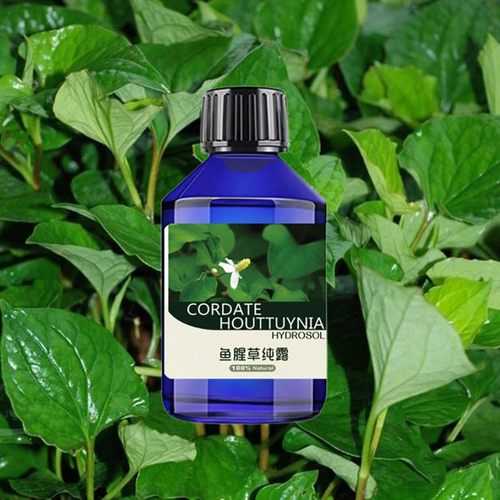 鱼腥草纯露手工皂原料精油芳疗