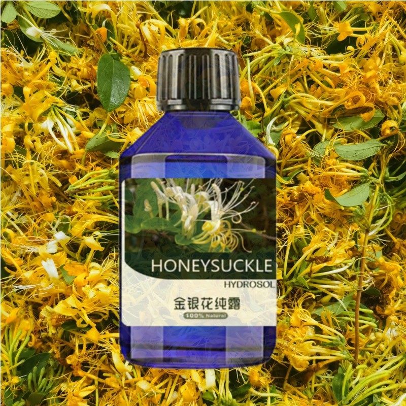 森林精灵金银花纯露500ml补水保湿收缩毛孔控油提亮肤色