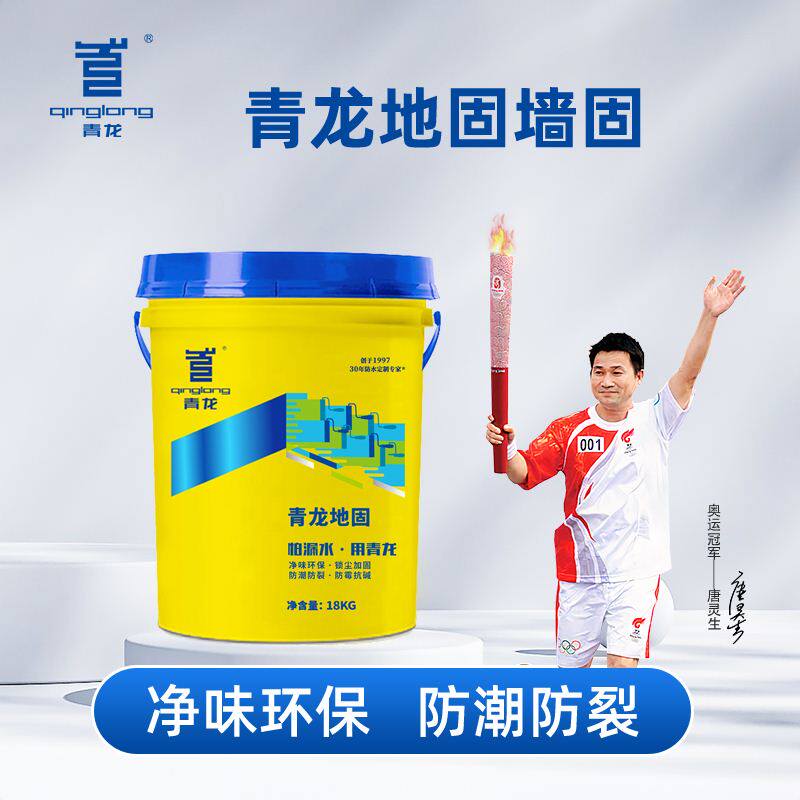 青龙墙固地固界面剂水泥地面起沙处理剂内固拉毛防潮防霉加固剂