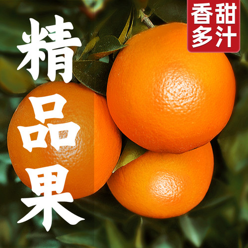 正宗江西赣南脐橙赣州橙子新鲜当季孕妇水果10装甜橙20斤整箱包邮