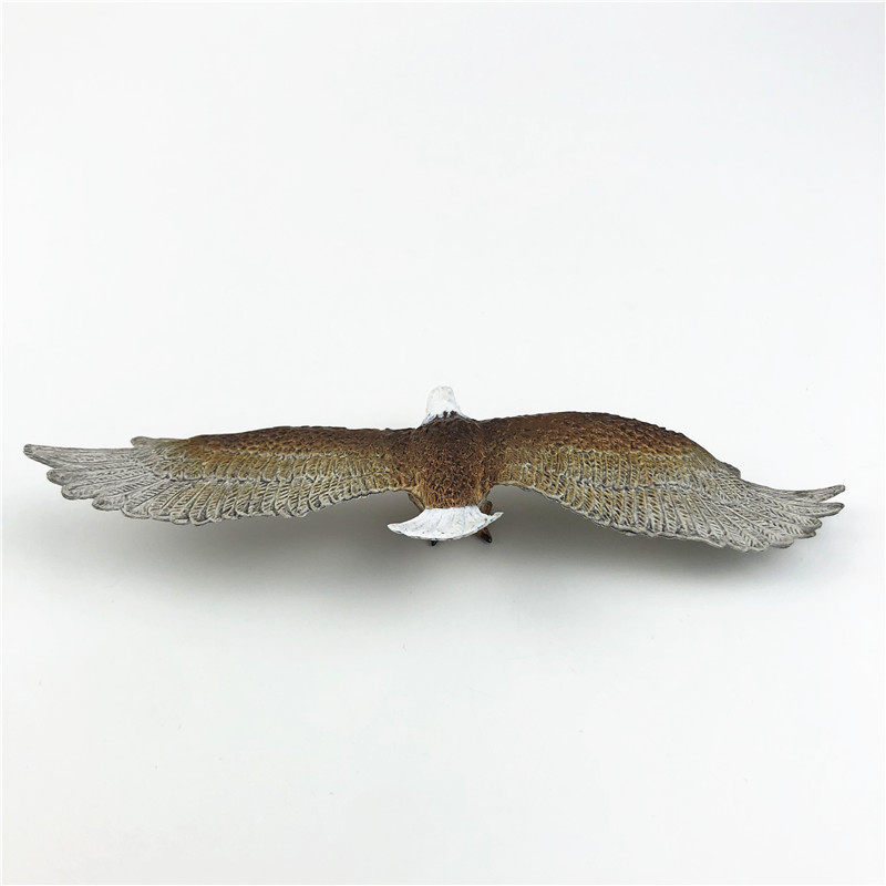 미국 AAA 시뮬레이션 새 동물 모델 3A 독수리 독수리 장식품