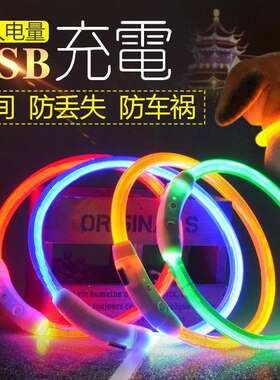 宠物狗发光项圈带灯光 夜间脖圈遛狗神器遛狗灯光USB充电夜光项圈