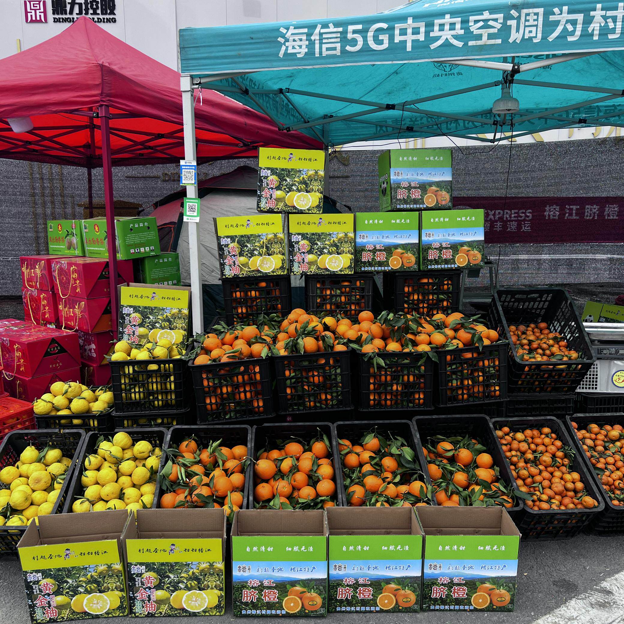 正宗贵州村超脐橙榕江高山种植5-10斤装礼盒装现采摘