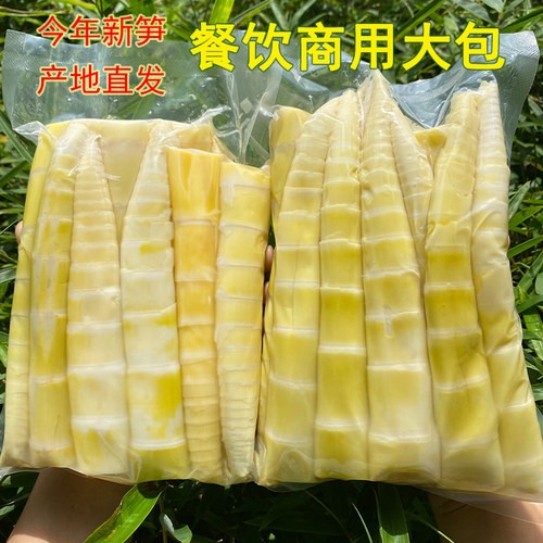 新鲜嫩笋尖野生小竹笋农家春笋火锅笋雷笋高山竹笋子腌笃鲜凉拌