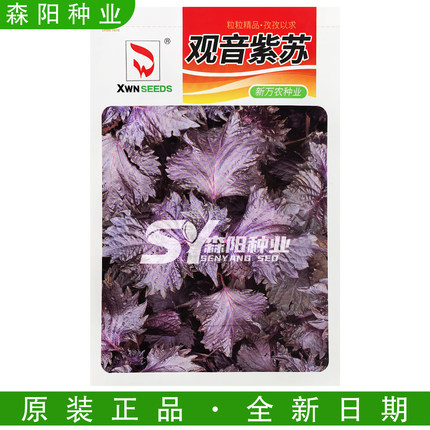 新万农观音紫苏种子耐热耐旱香味浓郁紫苏子种植简单用途广调味料