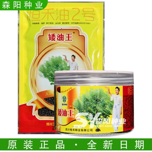 恒禾矮油王油菜种子高油率