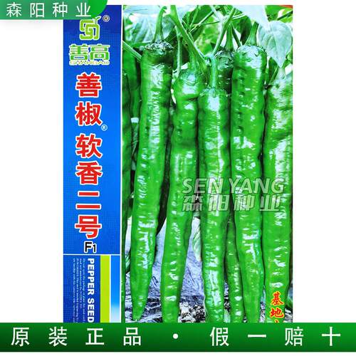 善高善椒软香二号辣椒种早熟香辣
